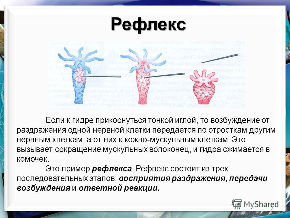 Нарко маркетплейсы